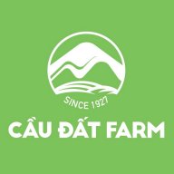 Tuyển dụng CDF