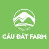 Tuyển dụng CDF